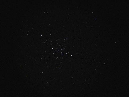 M36